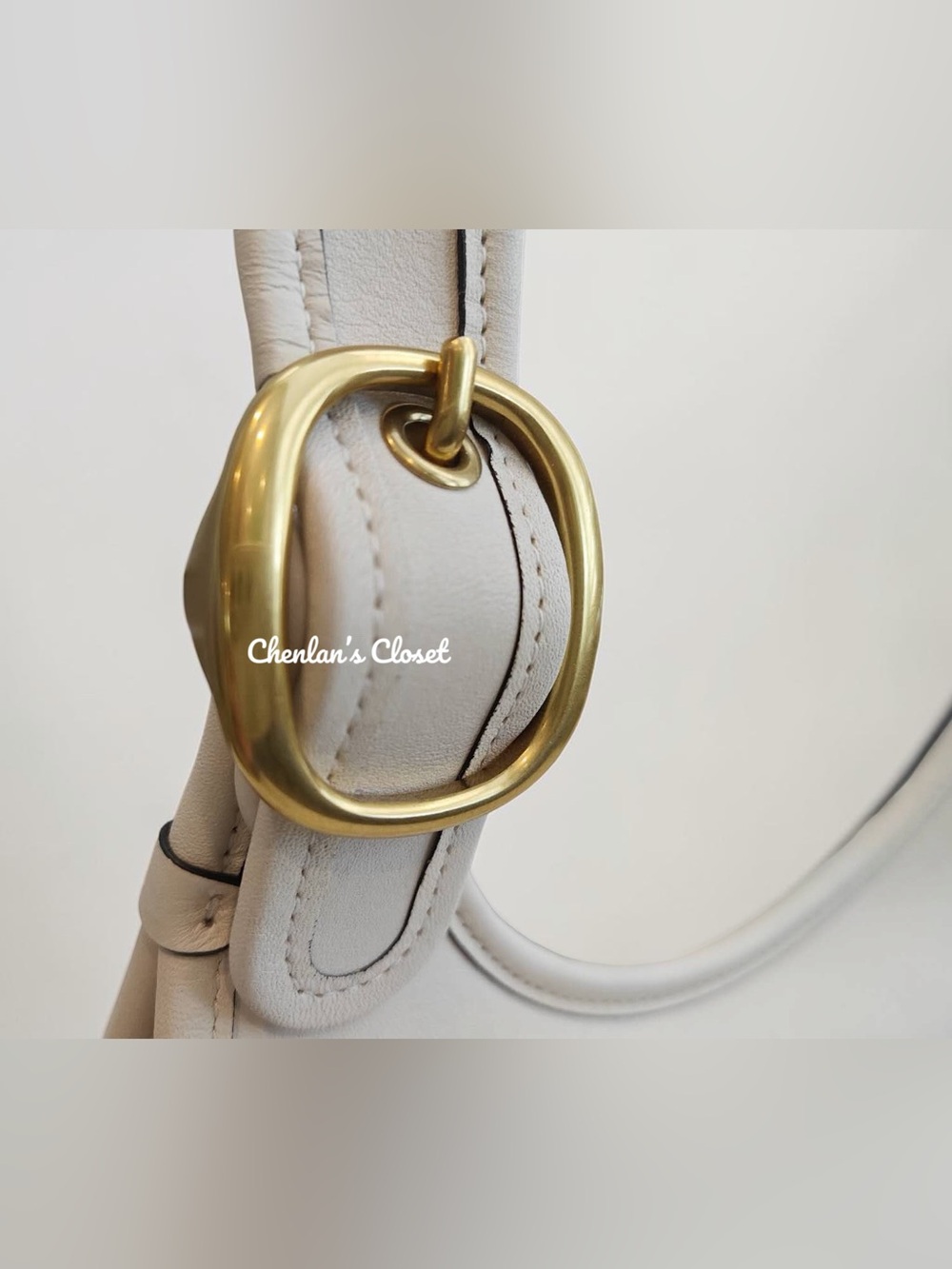 Coach Cashin Carry Crescent Bag NeW - Picture 10 of 15